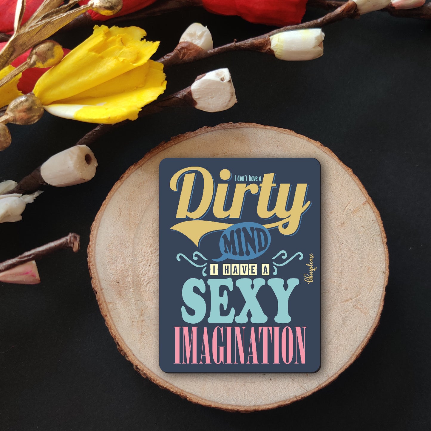 Sexy Imagination Quirky Fridge Magnet