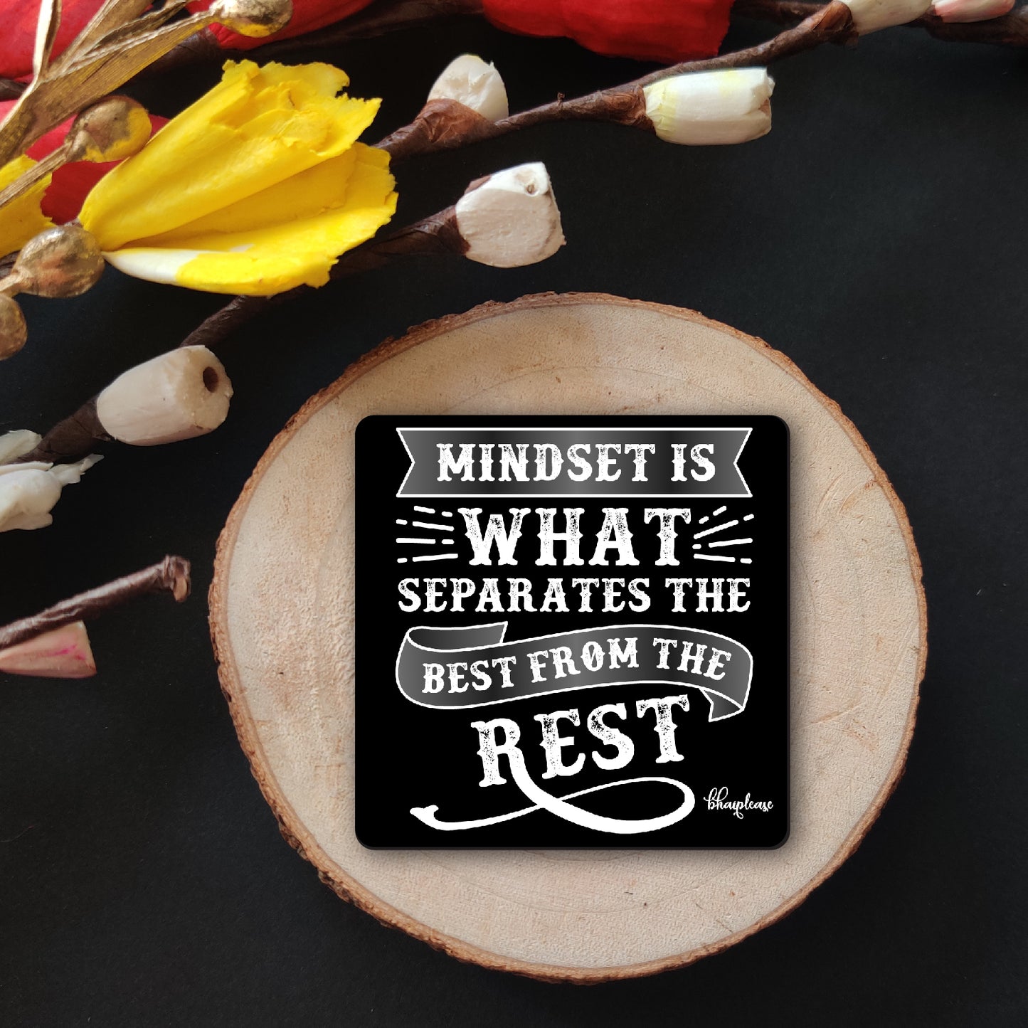 Mindset Separates the Best Motivational Fridge Magnet
