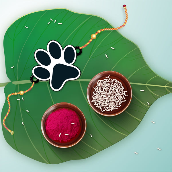 Rakhi with paw print – cute Rakhi for kids and brothers