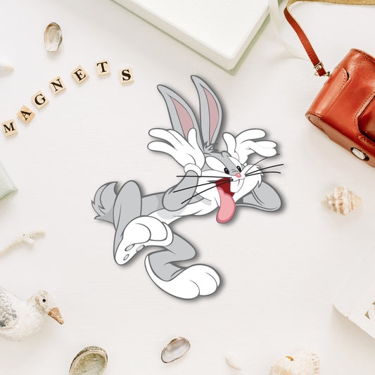 loony-tunes-cartoon-fridge-magnet-front-view